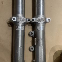 Harley Fork Legs sportster Sliders 39mm 08-13 Sportster XL, G5CO-L& R