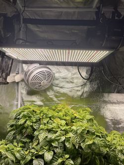 Grow Lights (see description)