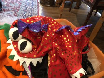 Halloween Pet Costumes