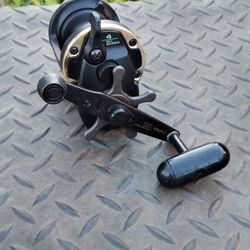 Diawa Sealine SL30sh conventional reel