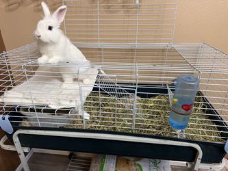 White wire mesh multi level small animal hutch