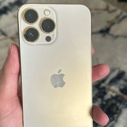 Apple     iphone      13         Pro           Max            512gb               Unlocked 