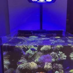 Aquarium Light Fixture 