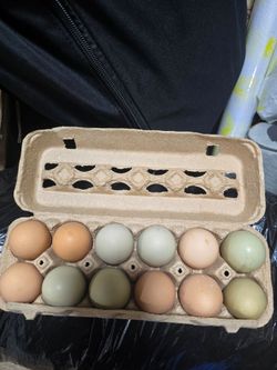 Organic eggs