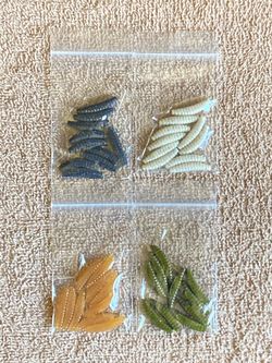 Fishing Lures - 1 inch Wax Worm Kit