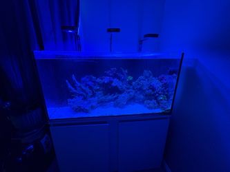 85 gallon seamless fish tank