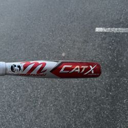 Cat X Comp
