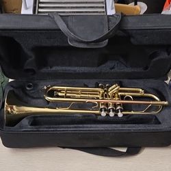 Valkyrie Gold Brass Standard Trumpet Lacquered 3-Valve w/ Case MPN (contact info removed)