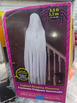 5.5 ft Lighted Hanging Phantom Halloween Decoration