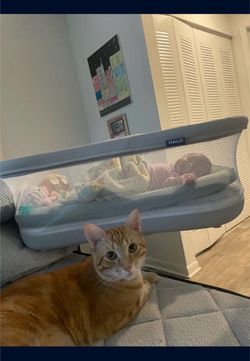 Bassinet