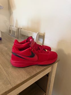 Nike LeBron 20 x Liverpool F.C. $150 OBO