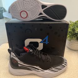 Q4 White Streak 495 LO SP