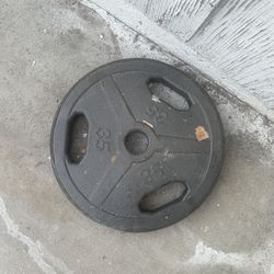 35 Pound Plate 