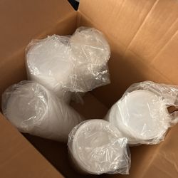 Disposable 8 Oz Containers  With Lids