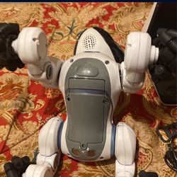 Robot Dog Robot dog # dog # Gucci # Versace # Burberry # Louis Vuitton # Balenciaga # robot # tech # iPhone # technology # shoes # remote # moochie # 