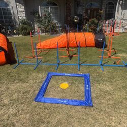 Dog Training Course