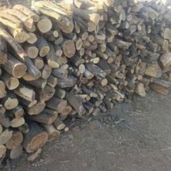 Seasoned Orange Tree Firewood