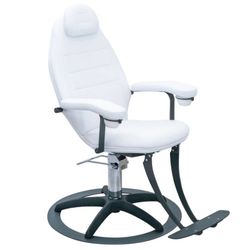 Salon Chair