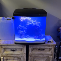 Biocube fish tank