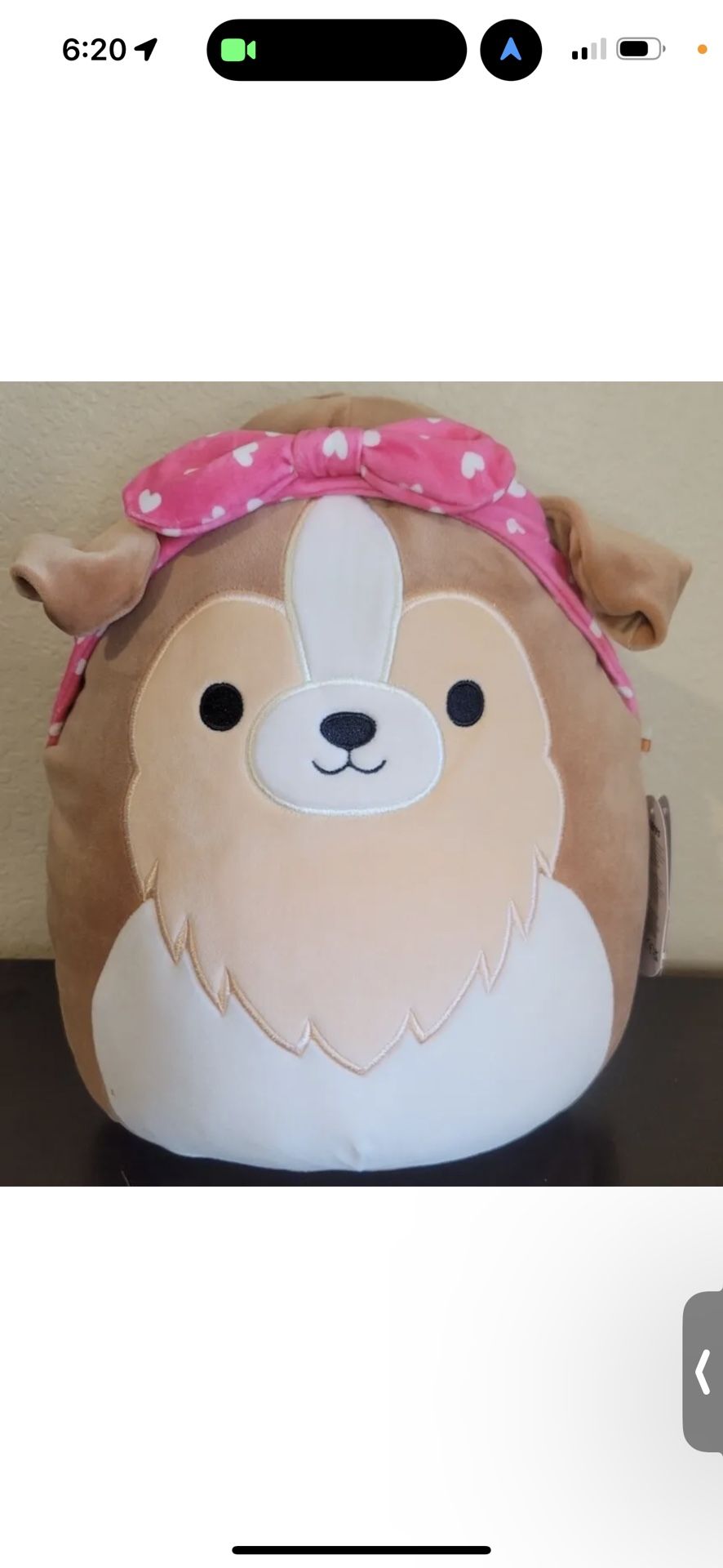 Squishmallow 11" Andres The Sheltie Dog