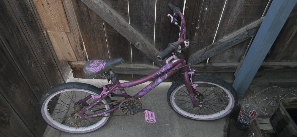 20$ Girls Bike
