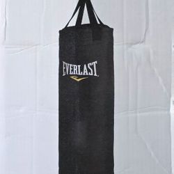 Everlast Punching Bag
