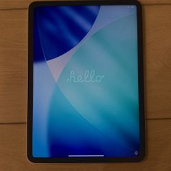 iPad Pro 11 inch 
