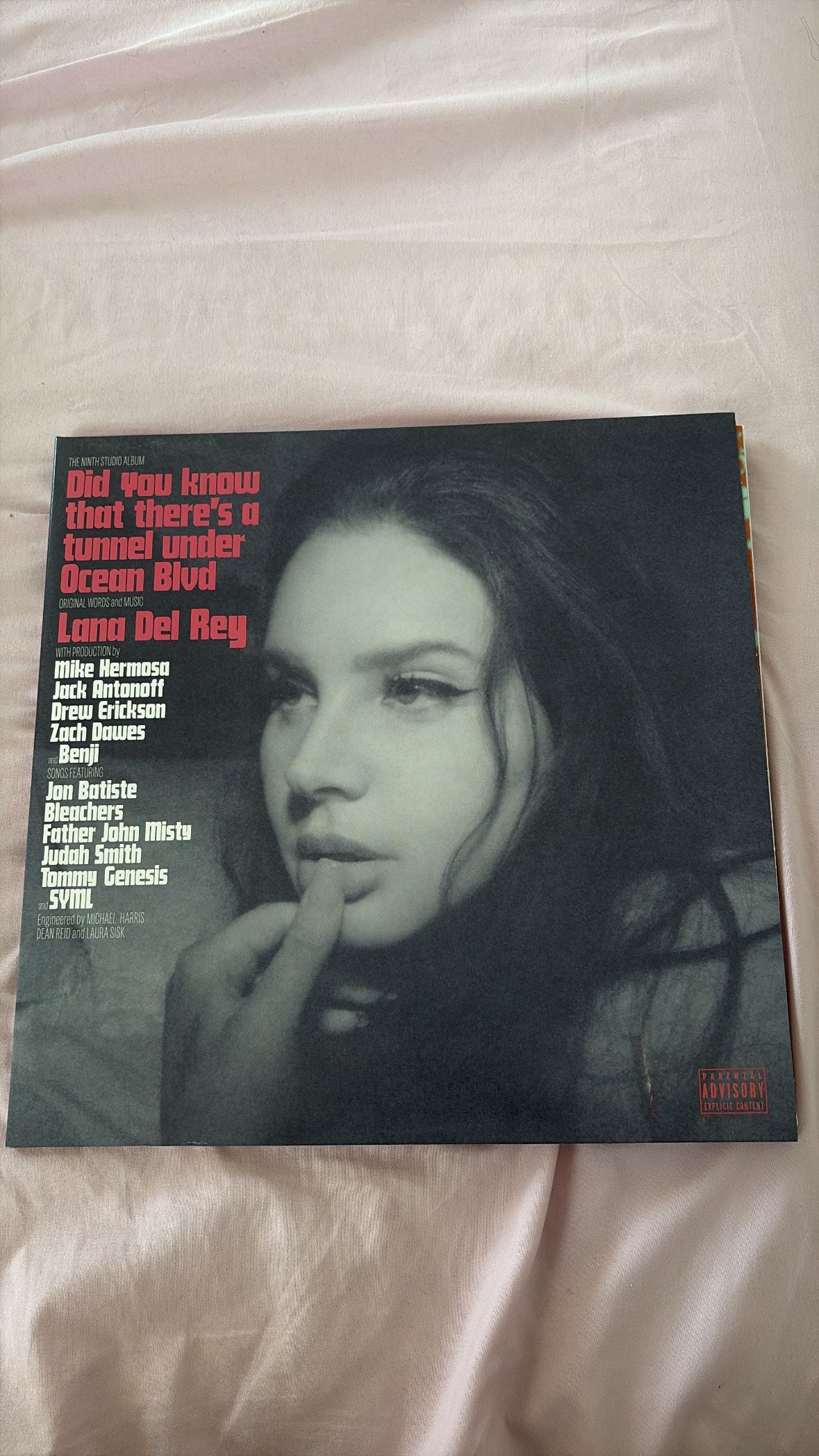 lana del rey vinyl “ did you know theres a tunnel under ocean blvd”