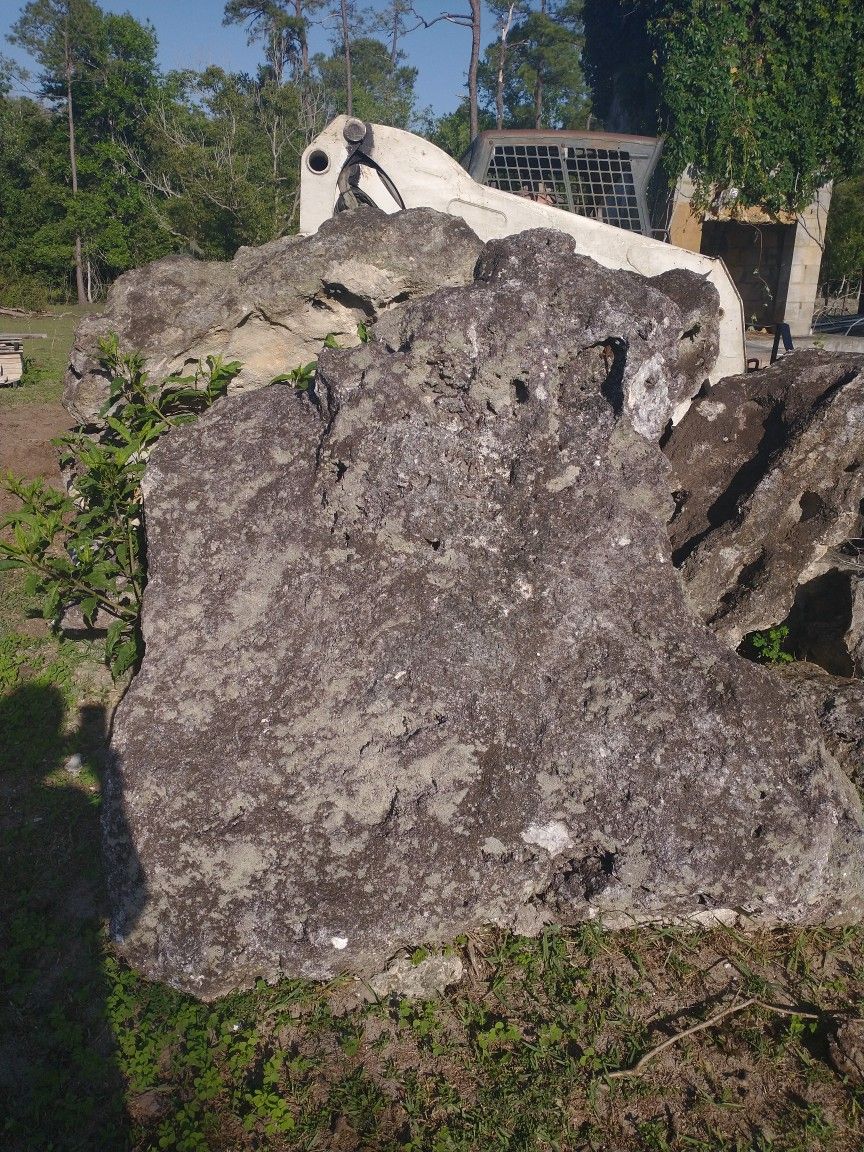 Ocala Field stone/ Lime stone