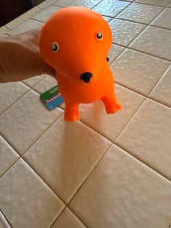 Squeeezy Dachshund dog