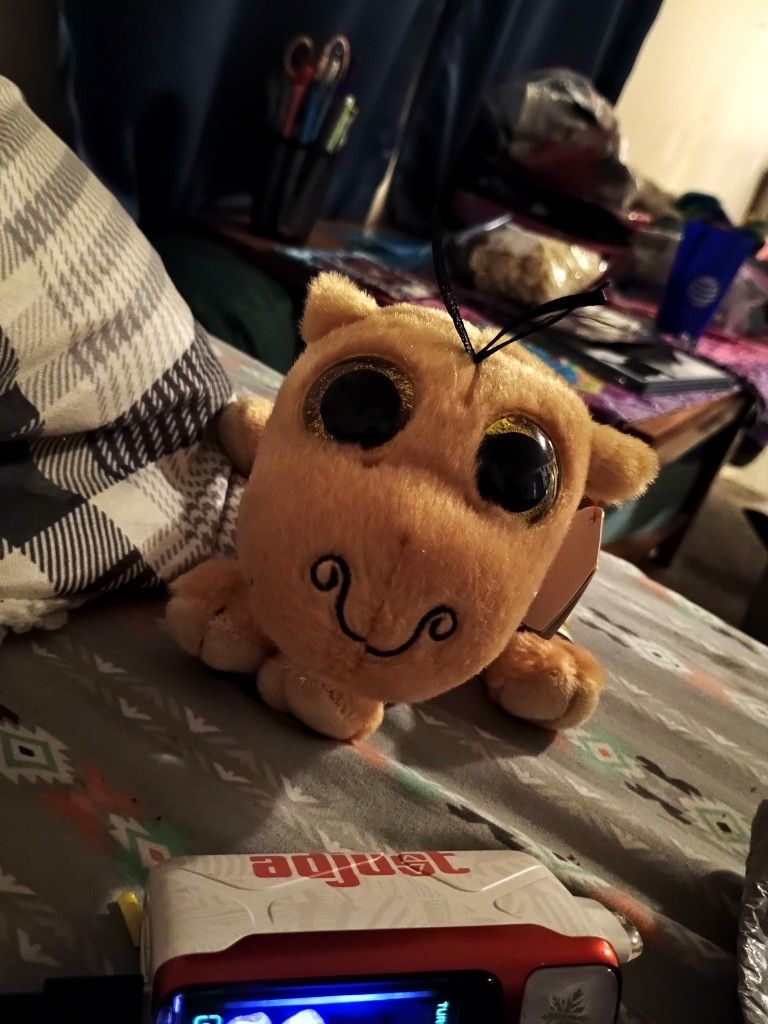 Ty Beanie Boo