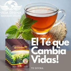 Y Tu Ya Lo Probaste??