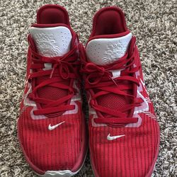 Nike LeBron James witness III size 12