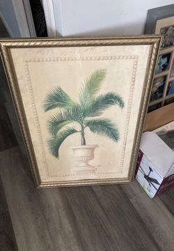 Palm tree picture