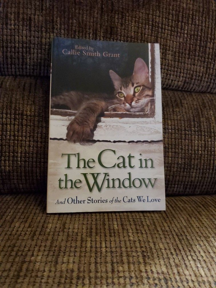 Book- The Cat In The Window