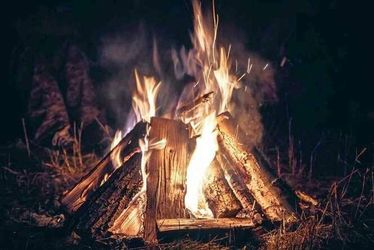 Seasoned firewood mix woods $4.75 bundle