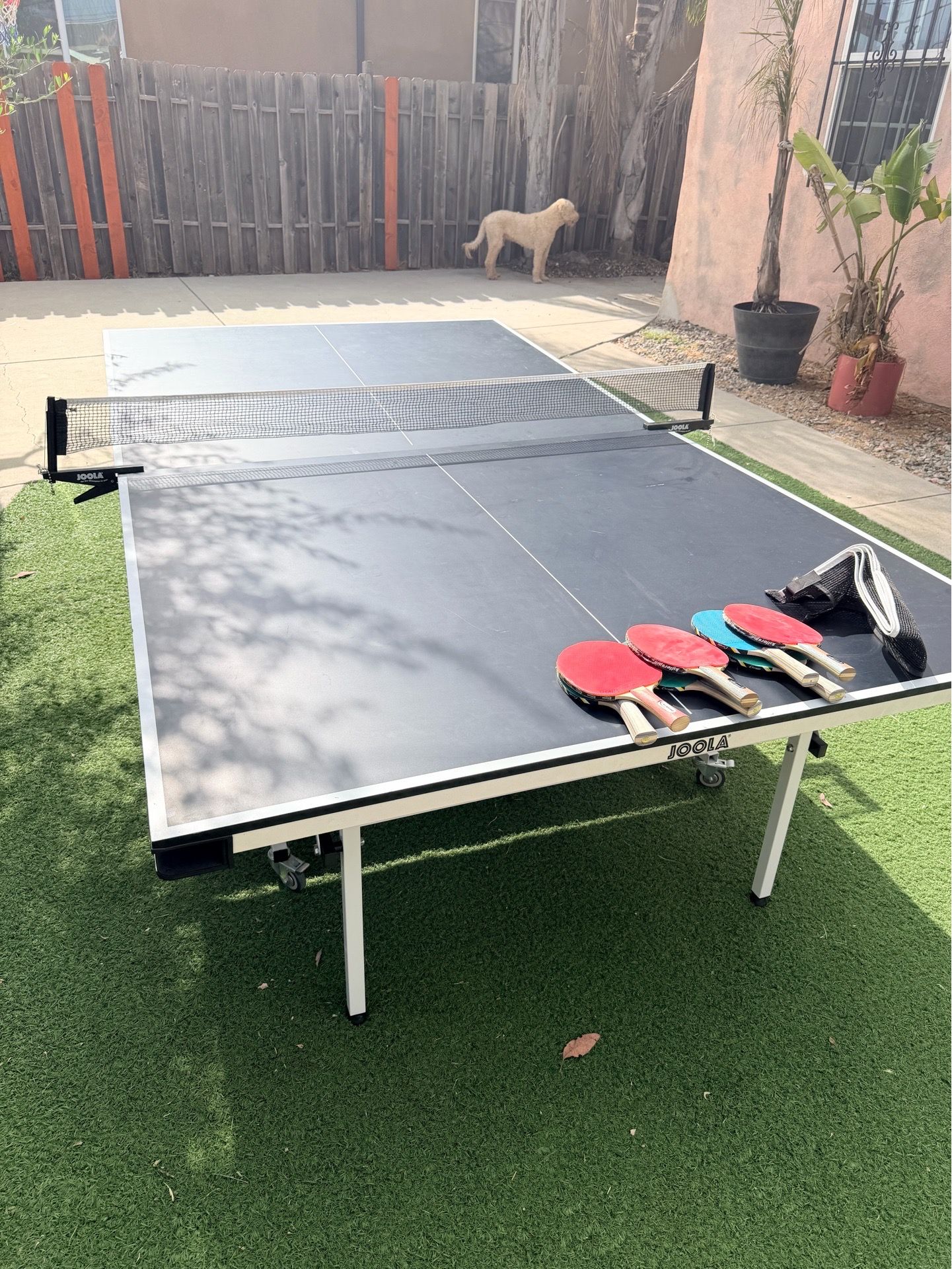Ping Pong table JOOLA