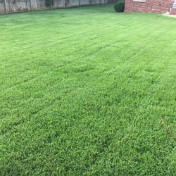 Grass Install 