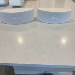 BOSE Environmental 141 Outdoor Speakers
