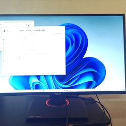 Asus Gaming Monitor (1440p, 165hz)