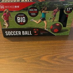 Wicked Big Soccer  Ball