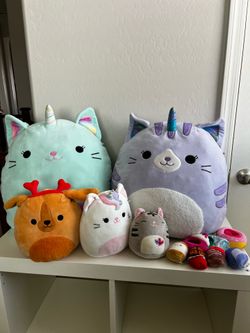 Squishmallow Bundle