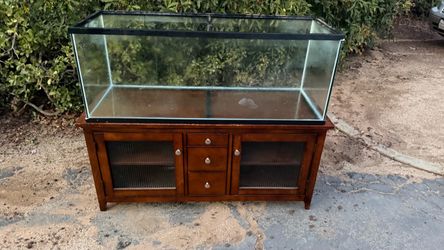 50 gallon aquarium