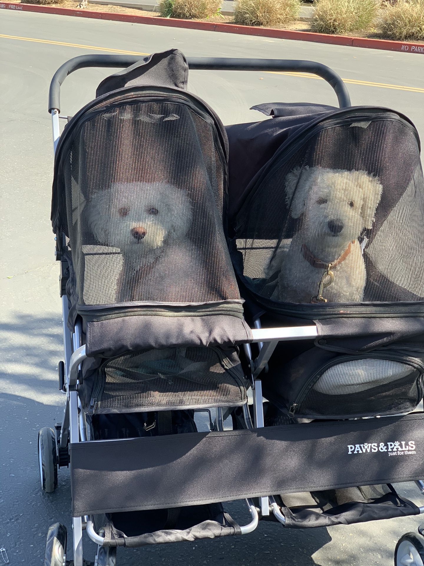 2 Small Breed Dog Stroller Only 1 Time Use My Pets Don’t Wanna Let In So I Never Use Anymore 