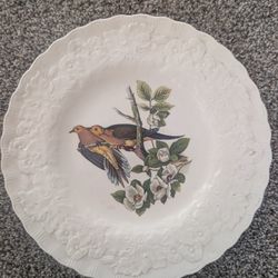 Vintage Alfred Meakin Plate #17 CAROLINA TURTLE DOVE Plate Wall Decor England 