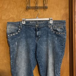 Womens Plus Size Harley Davidson Jeans Sz24