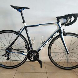 FOCUS CAYO EVO 4.0  CARBON ROAD BIKE 