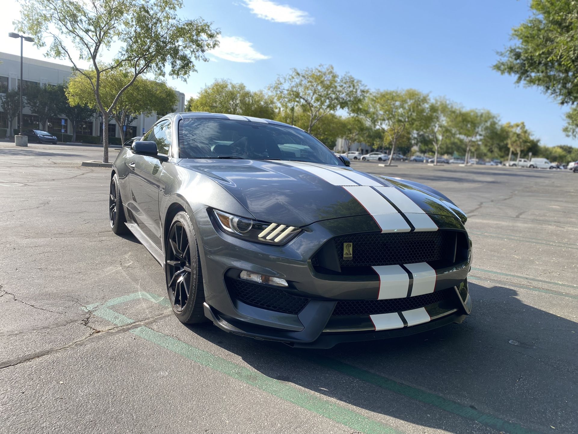 2016 Ford Shelby Gt350