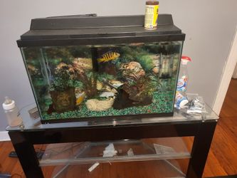 Fish Tank