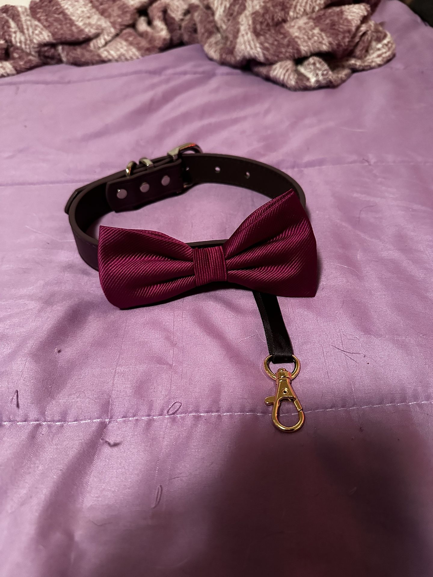 Purple Dog Bow Tie ring bearer Collar, Pet Wedding, Would you Marry me?, Made with Love, Proposal (READ DESCRIPTION!!!)